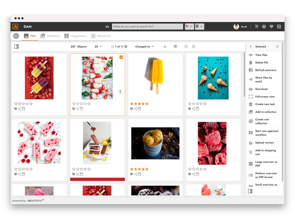 Screenshot of user interface