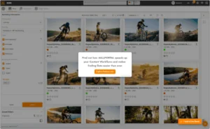 Finde und verwalte Assets schnell