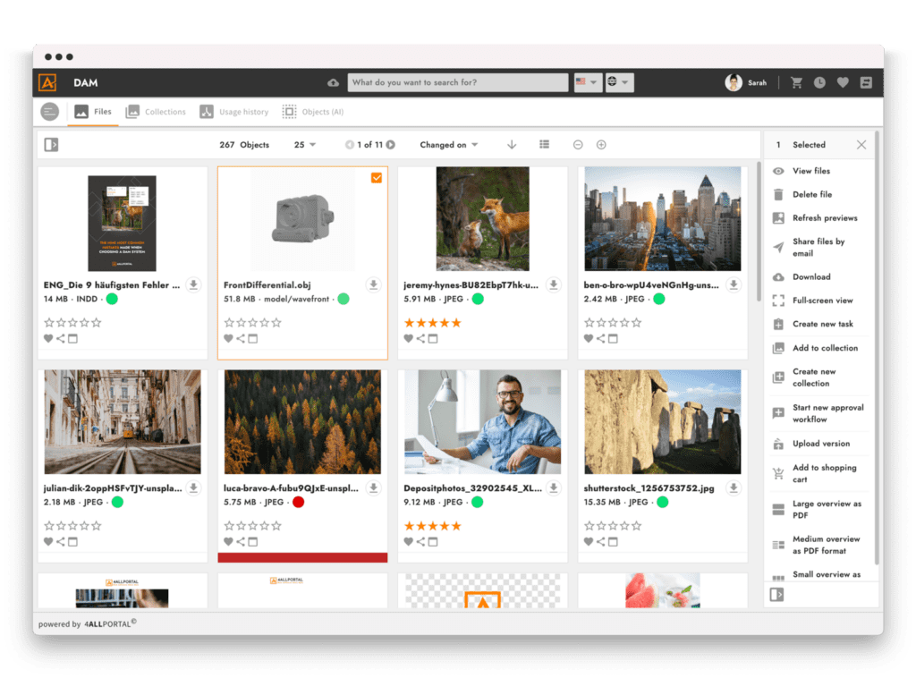 Digital Asset Management Software 4ALLPORTAL