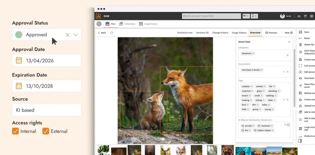 Was ist Digital Asset Management erklärt