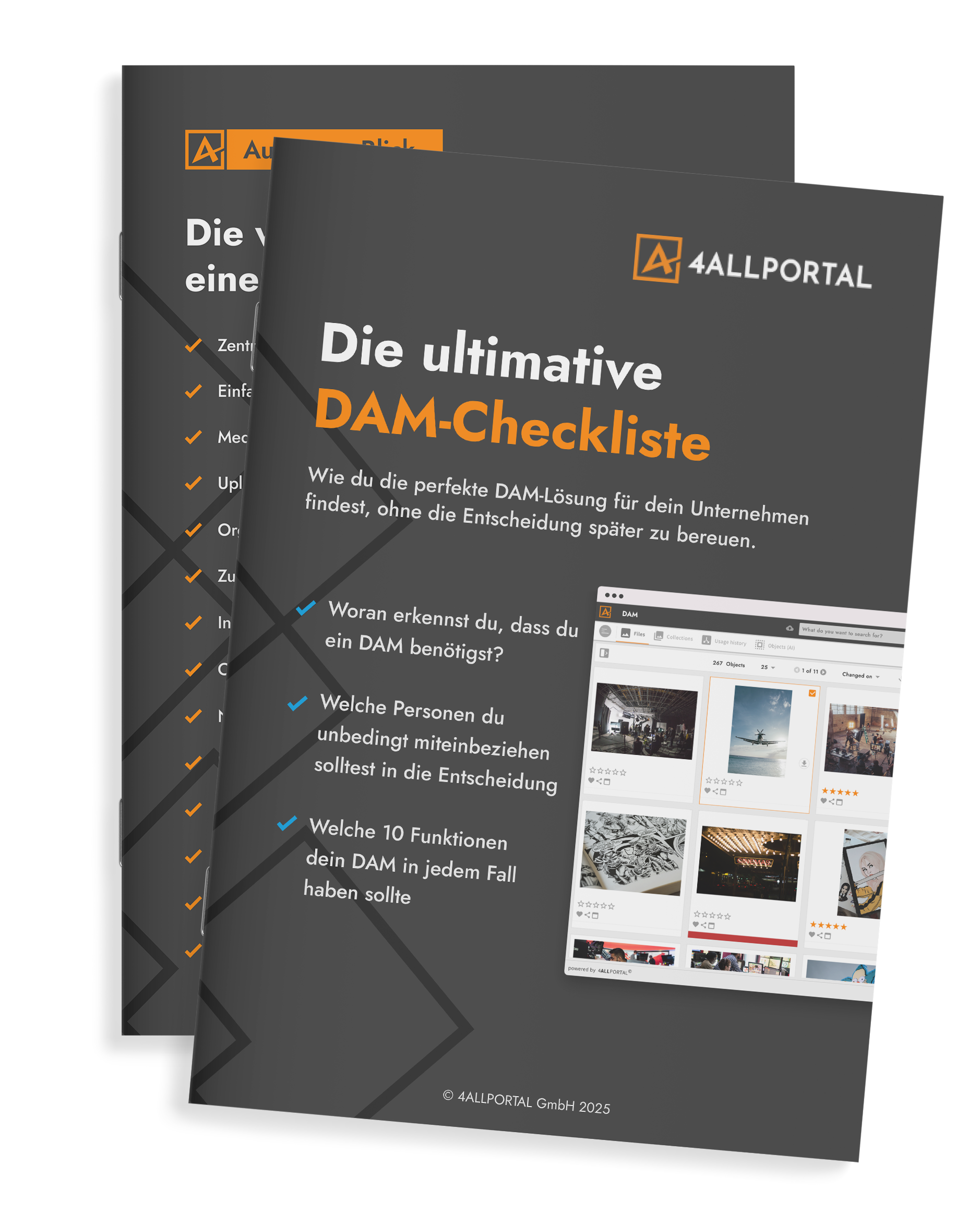 Die Ultimative DAM-Checkliste